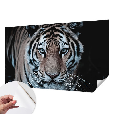 Fototapeta za otroško sobo Portret tigra