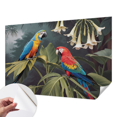 Samolepilna fototapeta Barvite papige