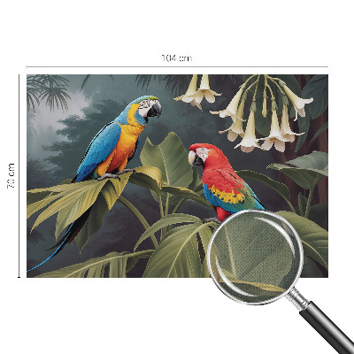 Samolepilna fototapeta Barvite papige