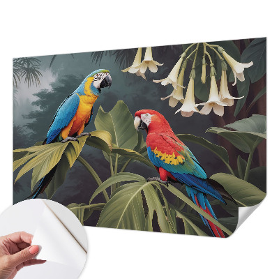 Samolepilna fototapeta Barvite papige