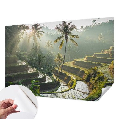 Samolepilna fototapeta za spalnico Rajske terase