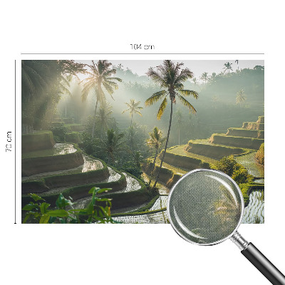 Samolepilna fototapeta za spalnico Rajske terase