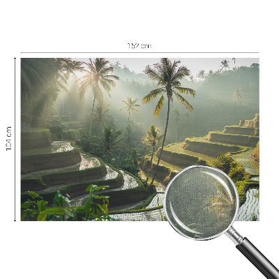 Samolepilna fototapeta za spalnico Rajske terase