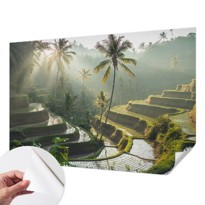 Samolepilna fototapeta za spalnico z motivom rajskih teras