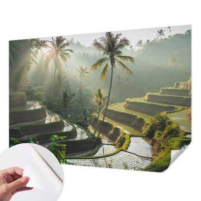 Samolepilna fototapeta za spalnico Rajske terase