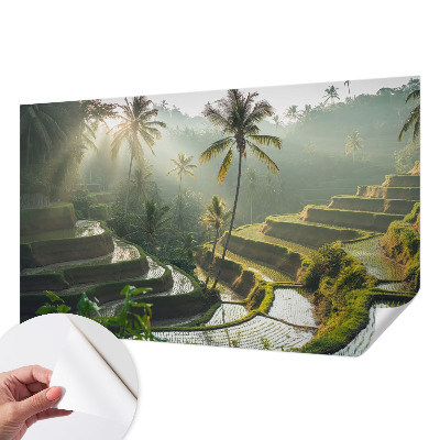 Samolepilna fototapeta za spalnico z motivom rajskih teras