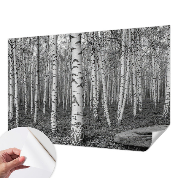 Otroška fototapeta z motivom brezovega gozda