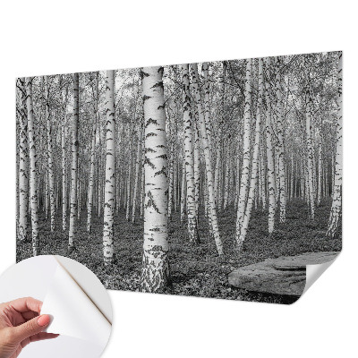 Otroška fototapeta z motivom brezovega gozda
