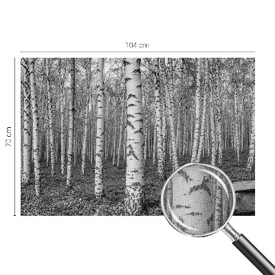 Otroška fototapeta z motivom brezovega gozda