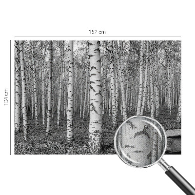 Otroška fototapeta z motivom brezovega gozda