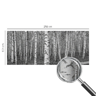 Otroška fototapeta z motivom brezovega gozda