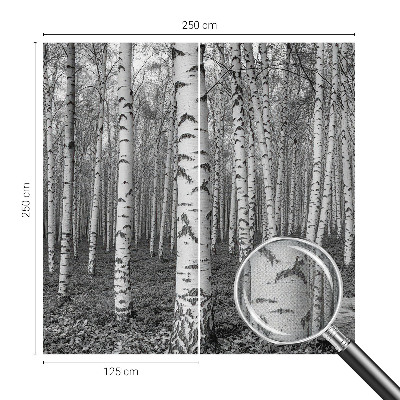 Otroška fototapeta z motivom brezovega gozda