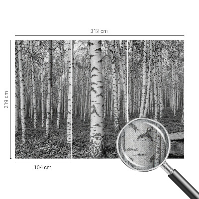 Otroška fototapeta z motivom brezovega gozda