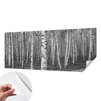 Otroška fototapeta z motivom brezovega gozda