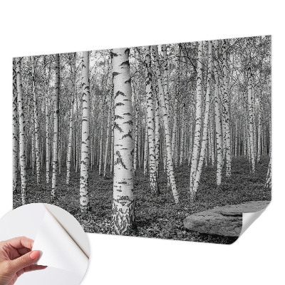 Otroška fototapeta z motivom brezovega gozda