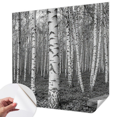 Otroška fototapeta z motivom brezovega gozda