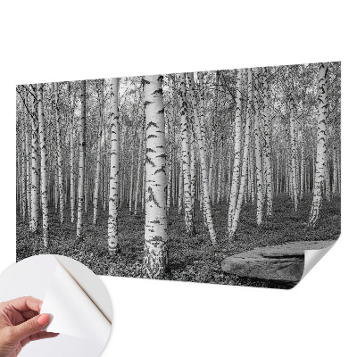 Otroška fototapeta z motivom brezovega gozda