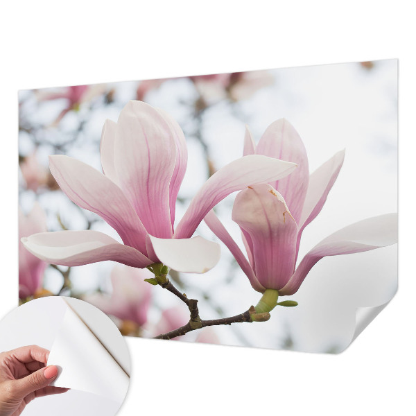 Samolepilna fototapeta z vzorcem cvetov magnolije