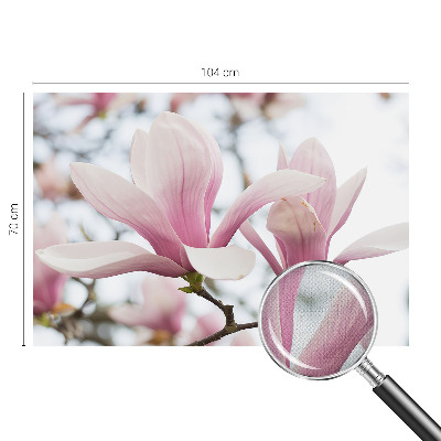 Samolepilna fototapeta z vzorcem cvetov magnolije