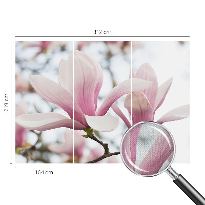Samolepilna fototapeta z vzorcem cvetov magnolije