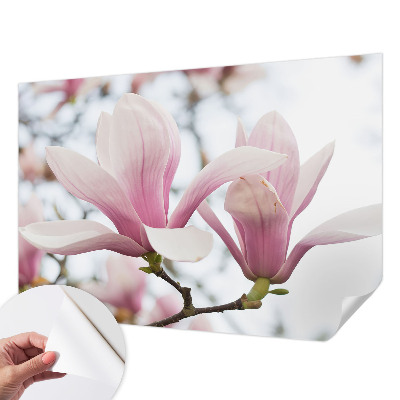 Samolepilna fototapeta z vzorcem cvetov magnolije