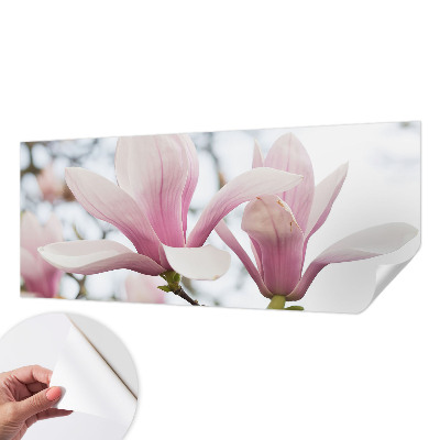 Samolepilna fototapeta z vzorcem cvetov magnolije