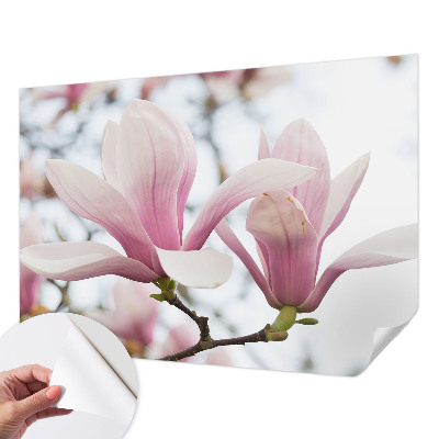Samolepilna fototapeta z vzorcem cvetov magnolije