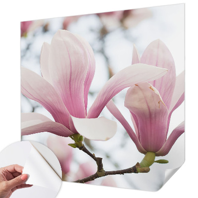 Samolepilna fototapeta z vzorcem cvetov magnolije