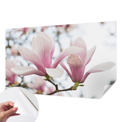 Samolepilna fototapeta z vzorcem cvetov magnolije