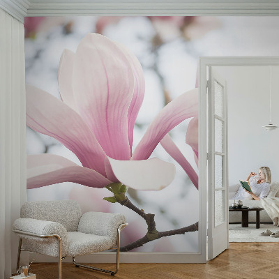 Samolepilna fototapeta z vzorcem cvetov magnolije