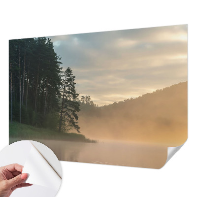 Fototapeta za otroško sobo Megleno jutro