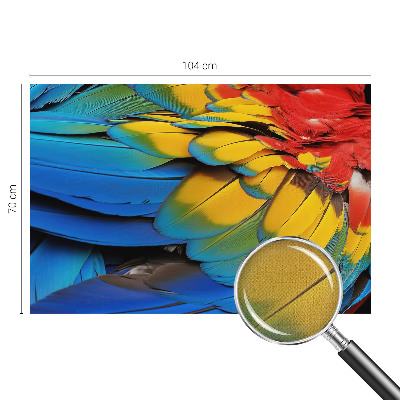 Otroška fototapeta Mavrično perje