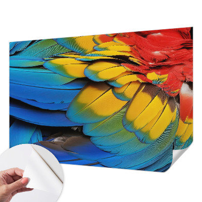 Otroška fototapeta z motivom mavričnega perja
