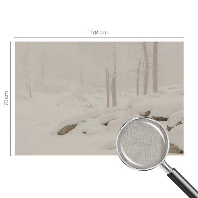 Otroška fototapeta Snežni gozd