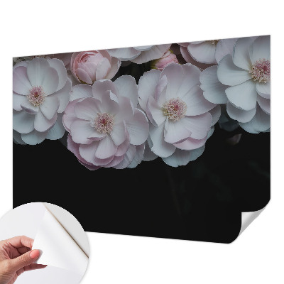 Fototapeta za otroško sobo Nežen šopek