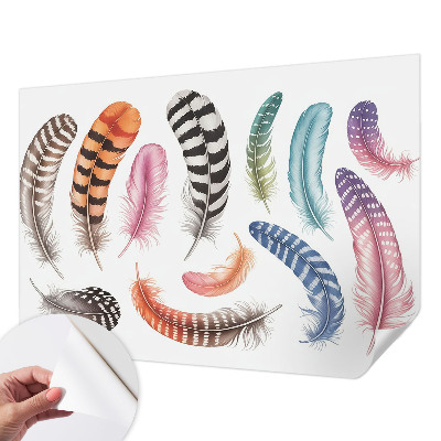 Samolepilna fototapeta z vzorcem pastelnih peres