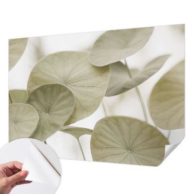 Fototapeta za otroško sobo Naravna eleganca