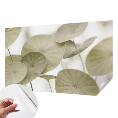 Fototapeta za otroško sobo Naravna eleganca