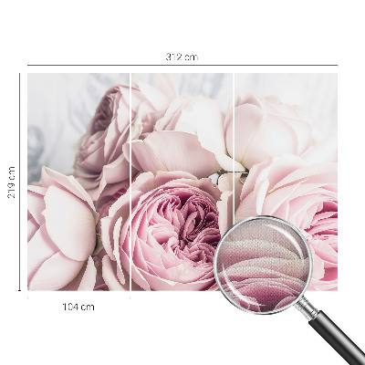 3D fototapeta z motivom rožnatih vrtnic