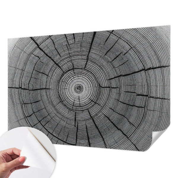 Samolepilna fototapeta z motivom gozdne harmonije