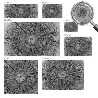 Samolepilna fototapeta z motivom gozdne harmonije