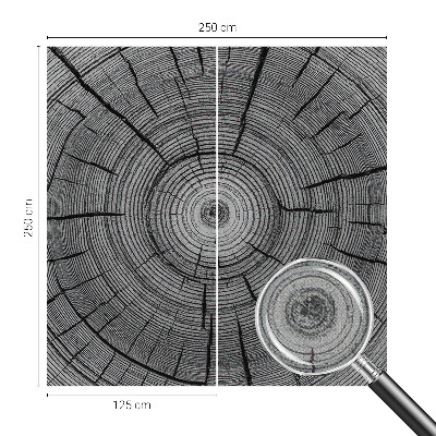 Samolepilna fototapeta z motivom gozdne harmonije