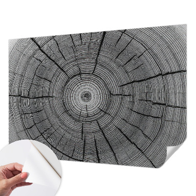 Samolepilna fototapeta z motivom gozdne harmonije