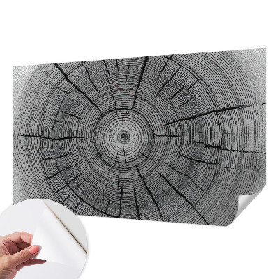 Samolepilna fototapeta z motivom gozdne harmonije
