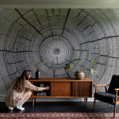 Samolepilna fototapeta Gozdna harmonija