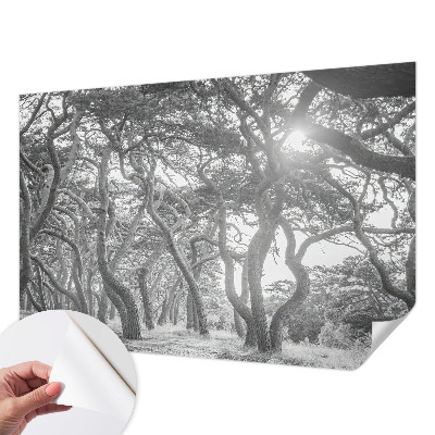 Otroška fototapeta z motivom atmosferskega gozda