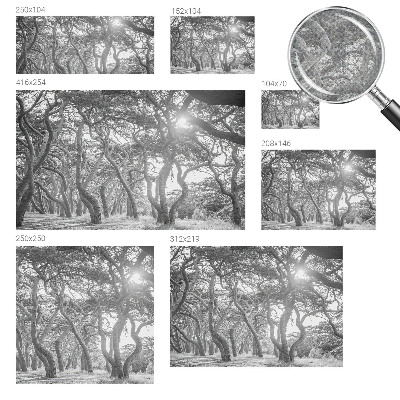 Otroška fototapeta z motivom atmosferskega gozda