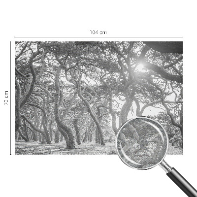 Otroška fototapeta Atmosferski gozd