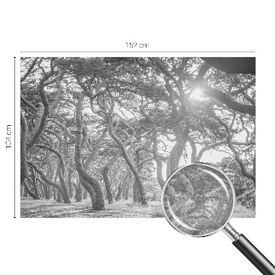 Otroška fototapeta Atmosferski gozd