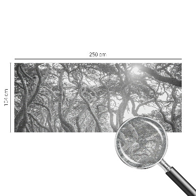 Otroška fototapeta Atmosferski gozd